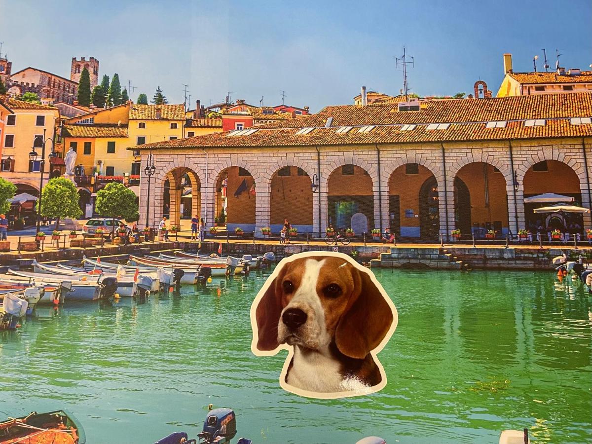 Desenzanoloft Blue Lake Star Desenzano del Garda Exterior foto